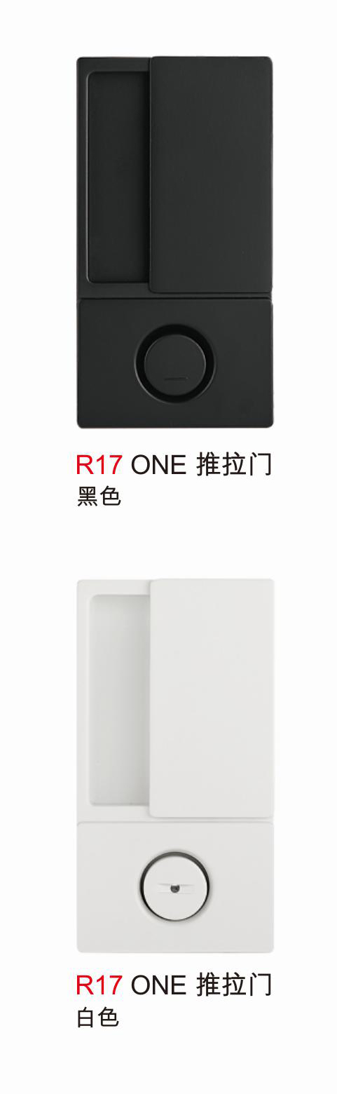 R17 ONE 推拉门